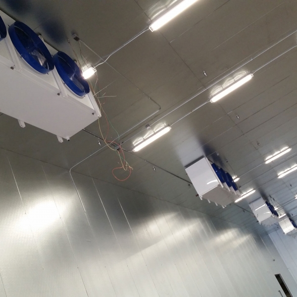 Finley Distributing Tucson, Arizona AIS Industries, Inc.